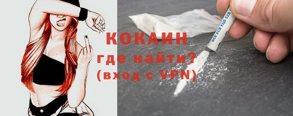 индика Калининец