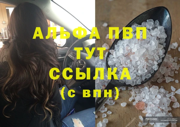 apvp Каменка