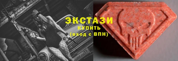apvp Каменка