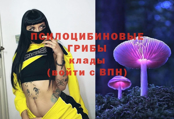 apvp Каменка