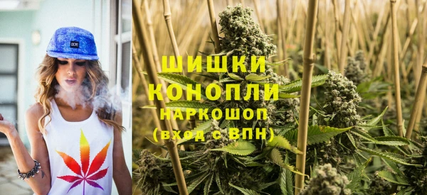 mdpv Фёдоровский
