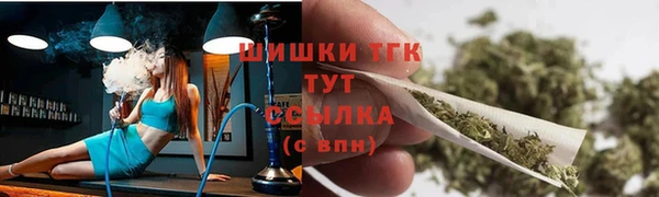 apvp Каменка