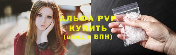 индика Калининец