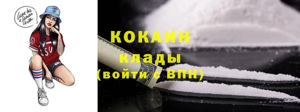 индика Калининец