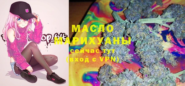 индика Калининец