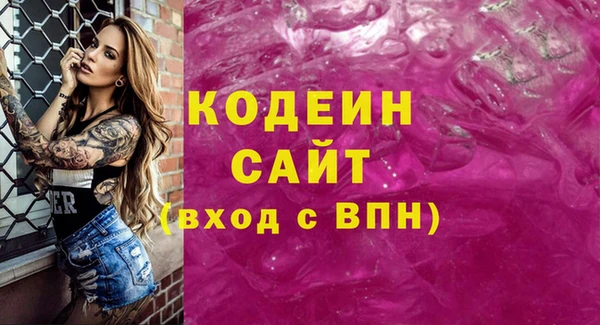 индика Калининец