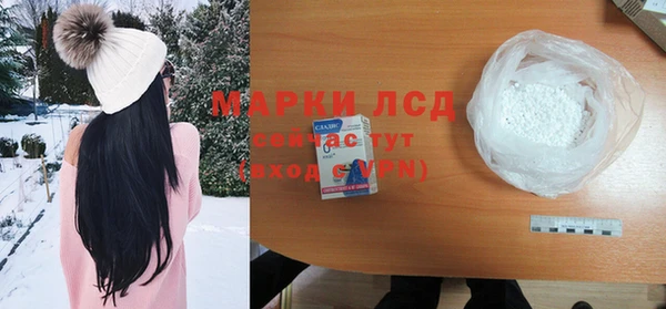 гидропоника Каменногорск